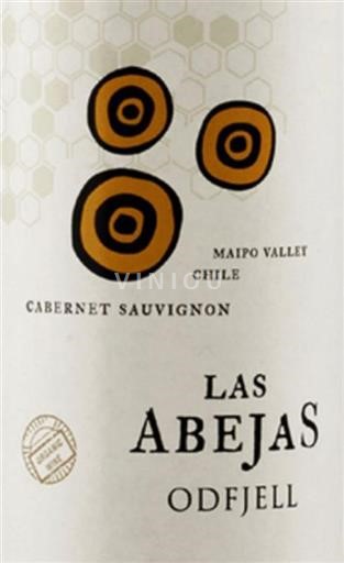 Aconcaguanlaakso Aconcagua Andes Odfjell Las Abejas 2016