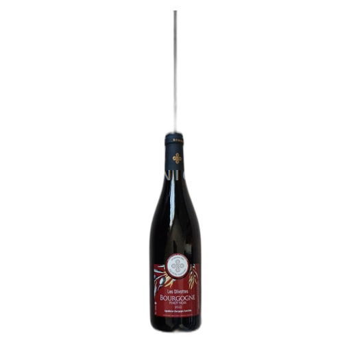 Vin Rouge sec Les Olivottes Domaine Des Quatre Saisons 2022 France Bourgogne AOC
