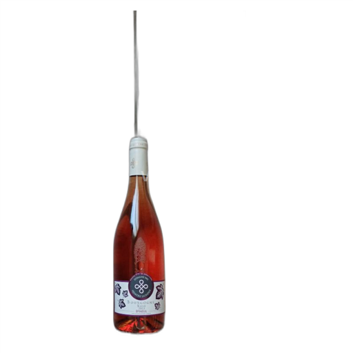 Borgogna Bourgogne Epineuil Domaine Des Quatre Saisons 2023