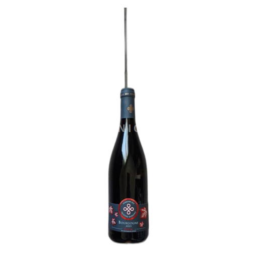 Borgogna Domaine Des Quatre Saisons Épineuil 2023