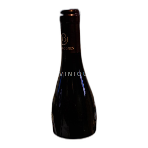 Vin Rouge sec Les Cornières Domaine Berbezy Roland 2022 France Bourgogne Santenay AOC