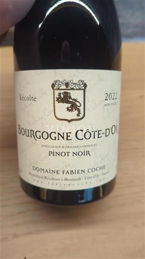 Burgundi Bourgogne Côte d'Or Domaine Fabien Coche 2022