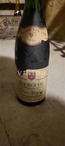 Loiredalen Bourgueil Sylvain Mainfroy 1984