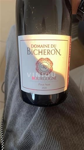 Burgund Domaine Bicheron 2020