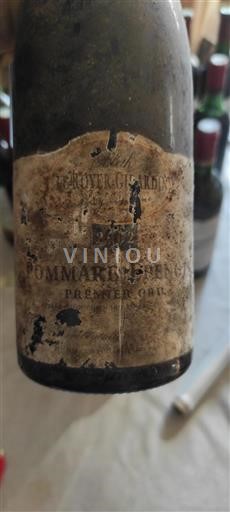 Bourgogne Pommard Premier Cru Leroyergirardin 2002