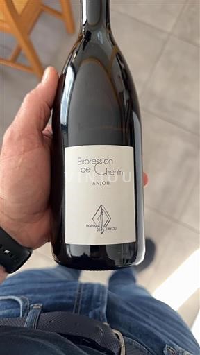 Loiretal Anjou Domaine Clayou Expression de Chenin 2022