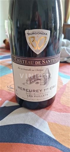 Bourgogne Ospecificerad Premier Cru Château Santenay Les Puillets 2011