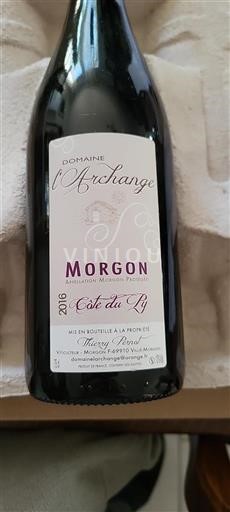 Vin Rouge sec Côte du Py Domaine L'Archange 2016 France Beaujolais Morgon AOC