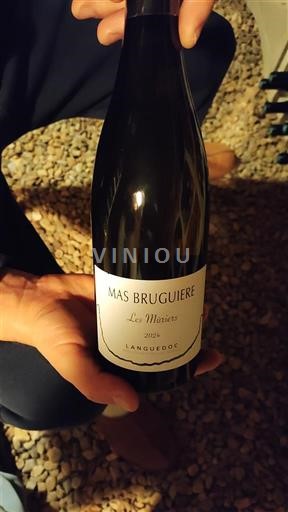 Languedoc Pic-saint-loup Mas Bruguière Les Mûriers 2022