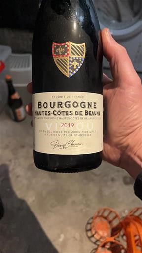 Borgogna Hautes Côtes de Beaune Morin Père & Fils 2019