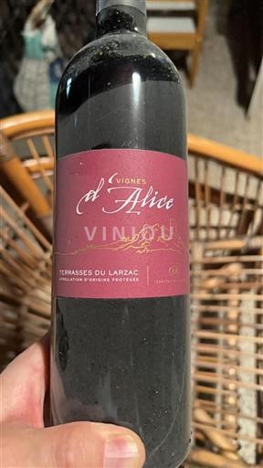 Languedoc Terrasses-du-larzac Château Malmont Vignes d'Alice 2016