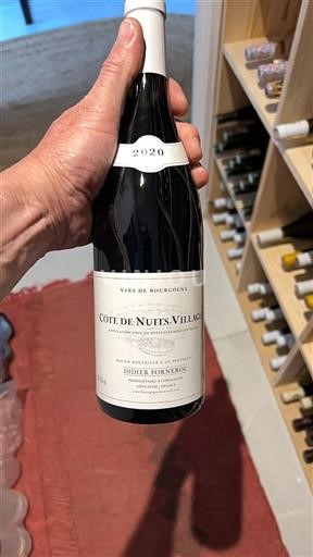 Burgundija Côte de Nuits Villages Didier Fornerol 2020
