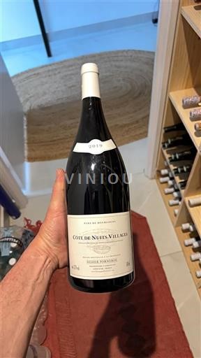 Burgundija Côte de Nuits Villages Didier Fornerol 2019