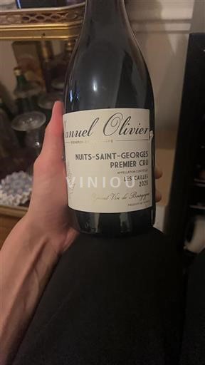 Bourgogne Ospecificerad Premier Cru Manuel Olivier Les Cailles 2020