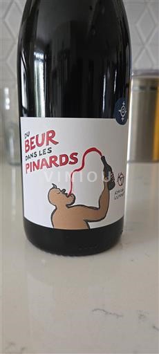 Beaujolais Beaujolais Villages Beur Dans Les Pinards 2023