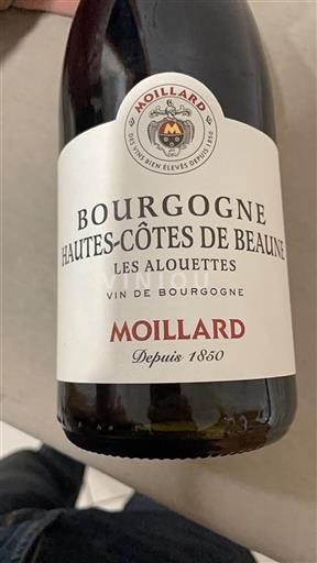 Burgund Hautes Côtes de Beaune Domaine Moillard Les Alouettes 2023
