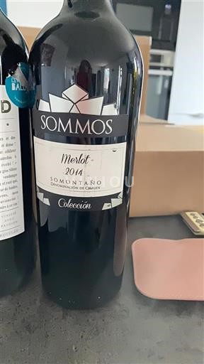 Aragonie Somontano Sommos Colección 2014