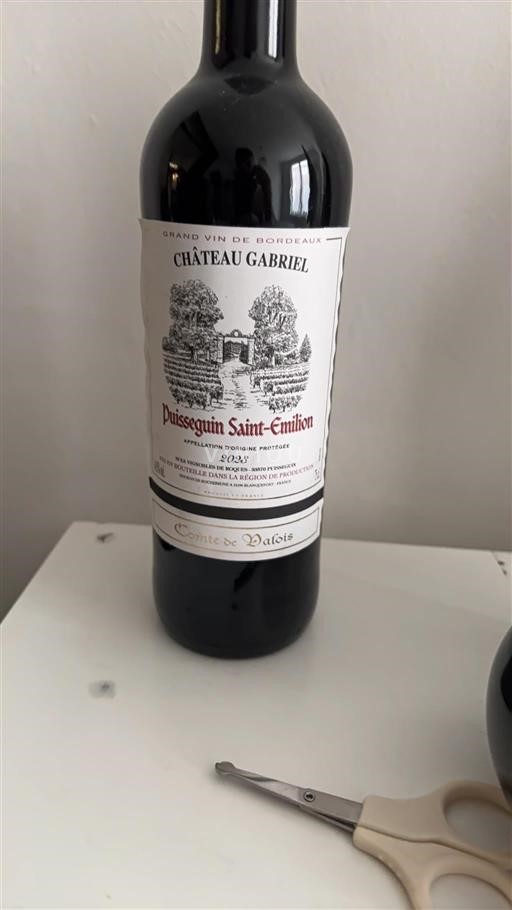 Bordeaux Puisseguin-saint-émilion Château Gabriel Comte de Valois 2023