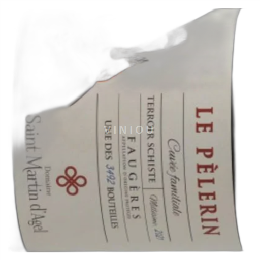 Languedoc Faugères Domaine Saint Martin D Agel Le Pèlerin 2021