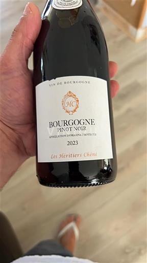Bourgogne Les Héritiers Chéné 2023