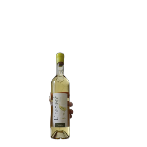 Rhône-dalen Maison Pagezi L'insolent 2023