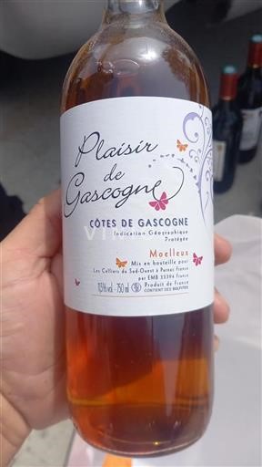 Tây Nam Côtes de Gascogne Les Celliers Du Sudouest Plaisir de Gascogne Không niên vụ