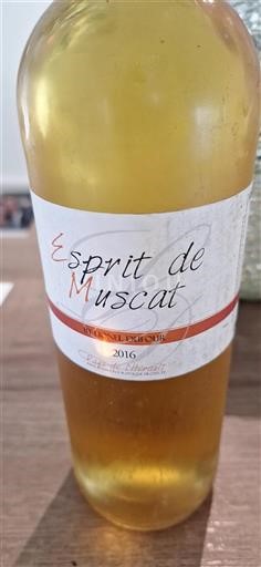 Langvedok Ni doloceno Lionel Dufour Esprit de Muscat 2016