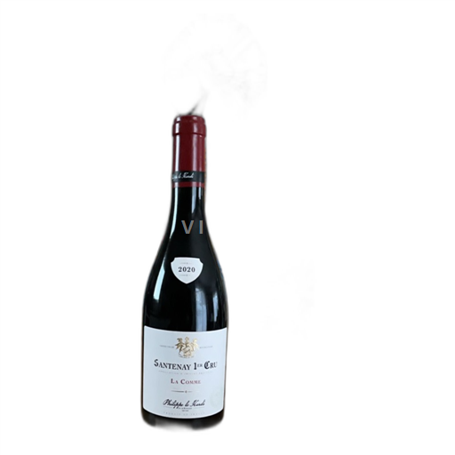 Burgundy Santenay Premier Cru Château Philippe Le Hardi La Comme 2020