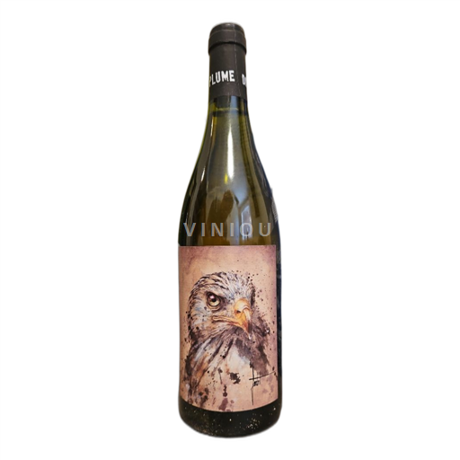 Languedoc ja Roussillon Fenouillèdesin rinteet Domaine Blanc Plume Milan royal 2020