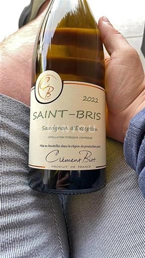 Borgonha Saint-Bris Clément Biot Sauvignon d'Exception 2022