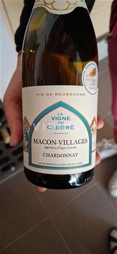 Bourgogne Mâcon và Mâcon-villages Cave De Lugny La Vigne du Cloître 2022