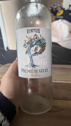 Zuidwest-Frankrijk Côtes de Gascogne Vintus Première Gelée Niet-geïntegreerd