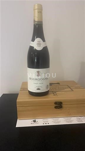 Burgundy L’aurore 2023