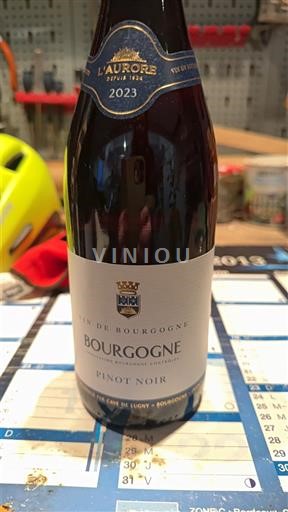 Bourgogne L’aurore 2023