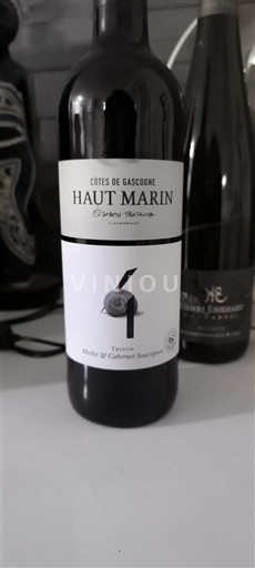 Sud-Ouest Côtes de Gascogne Haut Marin Triton Non Millésimé
