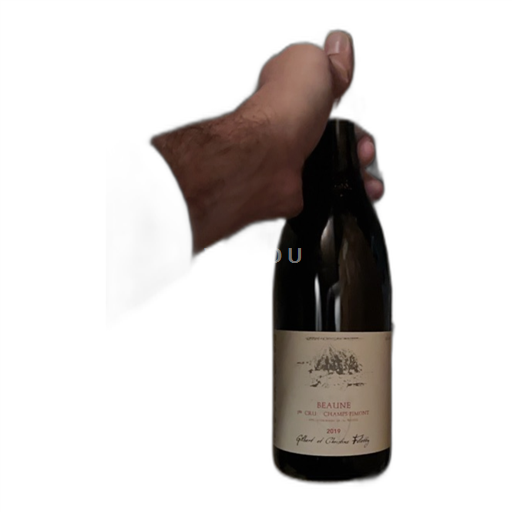 Borgoña Hautes Côtes de Beaune Premier Cru Gilbert Et Christine Felletig 2019