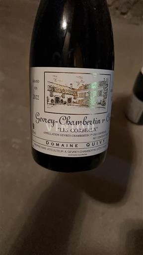 Vin Rouge sec Les Corbeaux Domaine Quivy 2022 France Bourgogne Gevrey-chambertin AOC Premier Cru