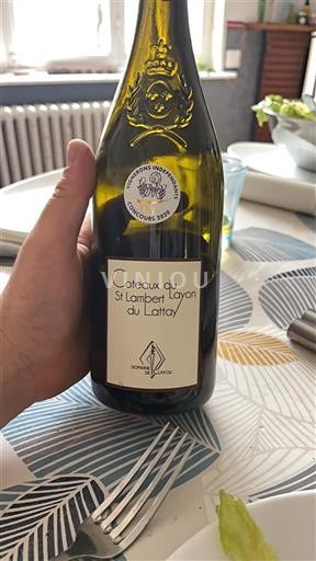 Valle della Loira Coteaux-du-Layon Domaine Clayou 2018