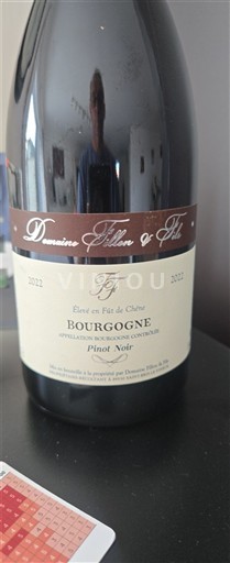 Burgundi Bourgogne Domaine Fillon & Fils 2022