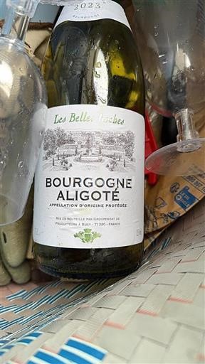 Burgundija Bourgogne Aligoté Cave De Buxy Les Belles Roches 2023