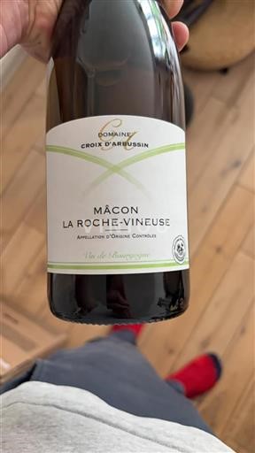 Borgogna Mâcon e Mâcon-Villages Domaine Croix Arbussin 2023
