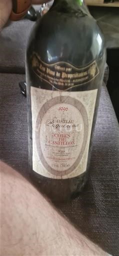 Bordeaux Ospecificerad Château Pagueneau 1996