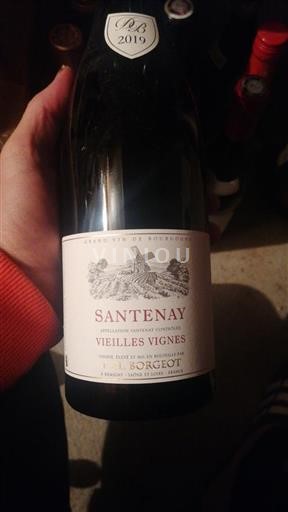 Bourgogne Santenay P. & L. Borgeot Vieilles Vignes 2019