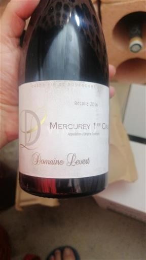 Bourgogne Mercurey Premier Cru Domaine Levert 2016