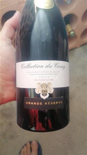 Loirevallei Muscadet-Sèvre-et-Maine Château Coing Grande Réserve Niet-geïntegreerd