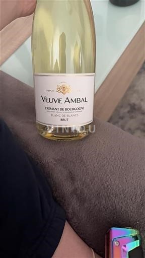 Burgundija Crémant de Bourgogne Veuve Ambal Blanc de Blancs Neleten.