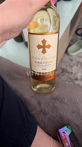 Sydväst Côtes de Gascogne La Fleur Occitan Gascogne 2022