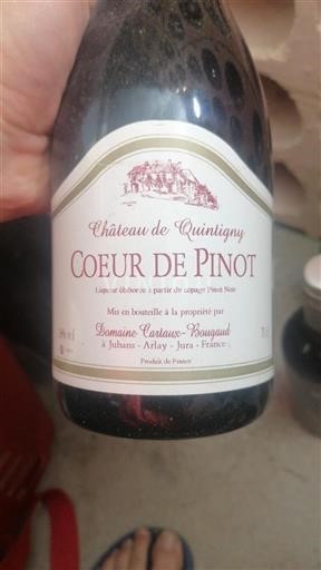 Jura Non specificato Château Quintigny Coeur de Pinot Senza annata