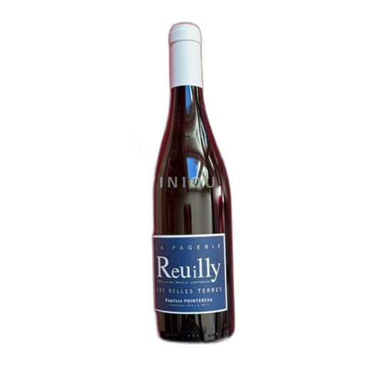 Loire Valley Reuilly Domaine La Pagerie Les Belles Terres 2022