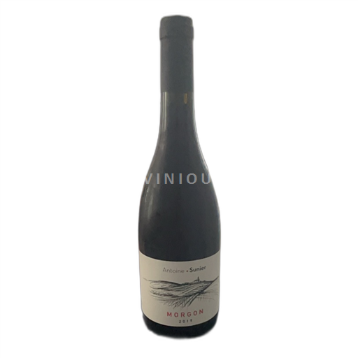 Beaujolais Morgon Antoine Sunier 2019
